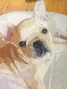 白い犬を描いた作品