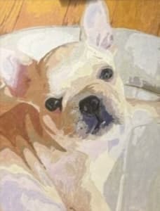 犬の表情を描いた作品