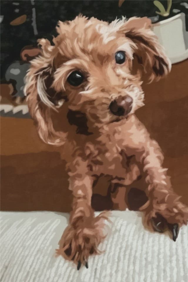 プードルを描いた作品